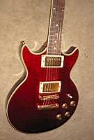 Jay Turser JT-200PRO Les Paul DC-style body 2.jpg
